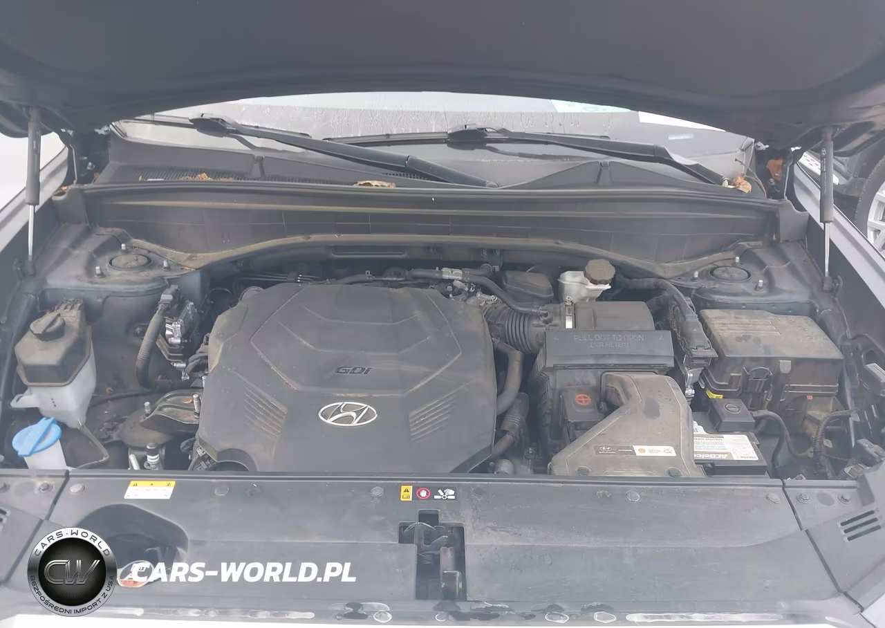 2021 Hyundai Palisade Calligraphy VIN:KM8R7DHE2MU172955 - 10