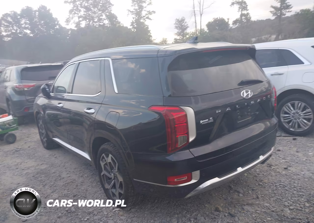 2021 Hyundai Palisade Calligraphy VIN:KM8R7DHE2MU172955 - 3