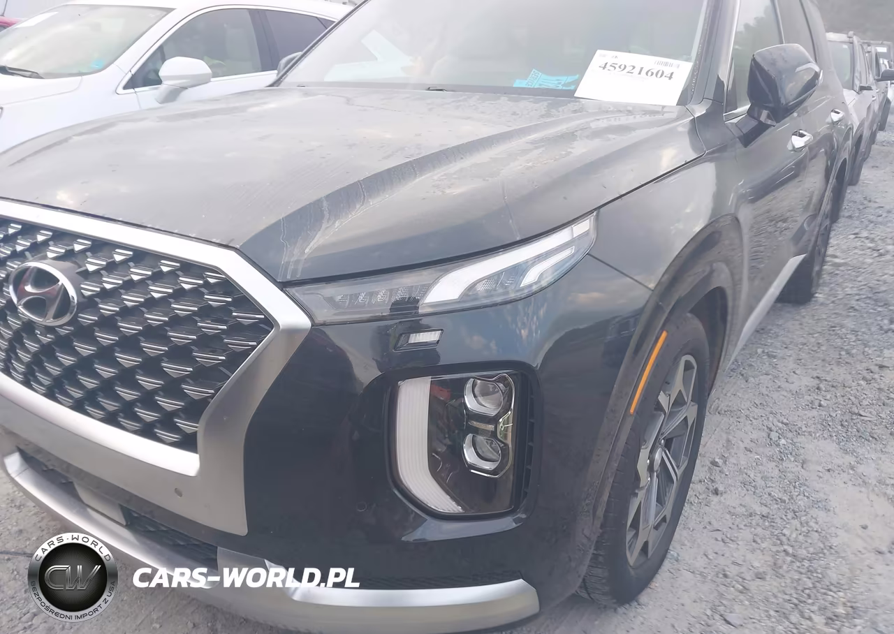 2021 Hyundai Palisade Calligraphy VIN:KM8R7DHE2MU172955 - 6