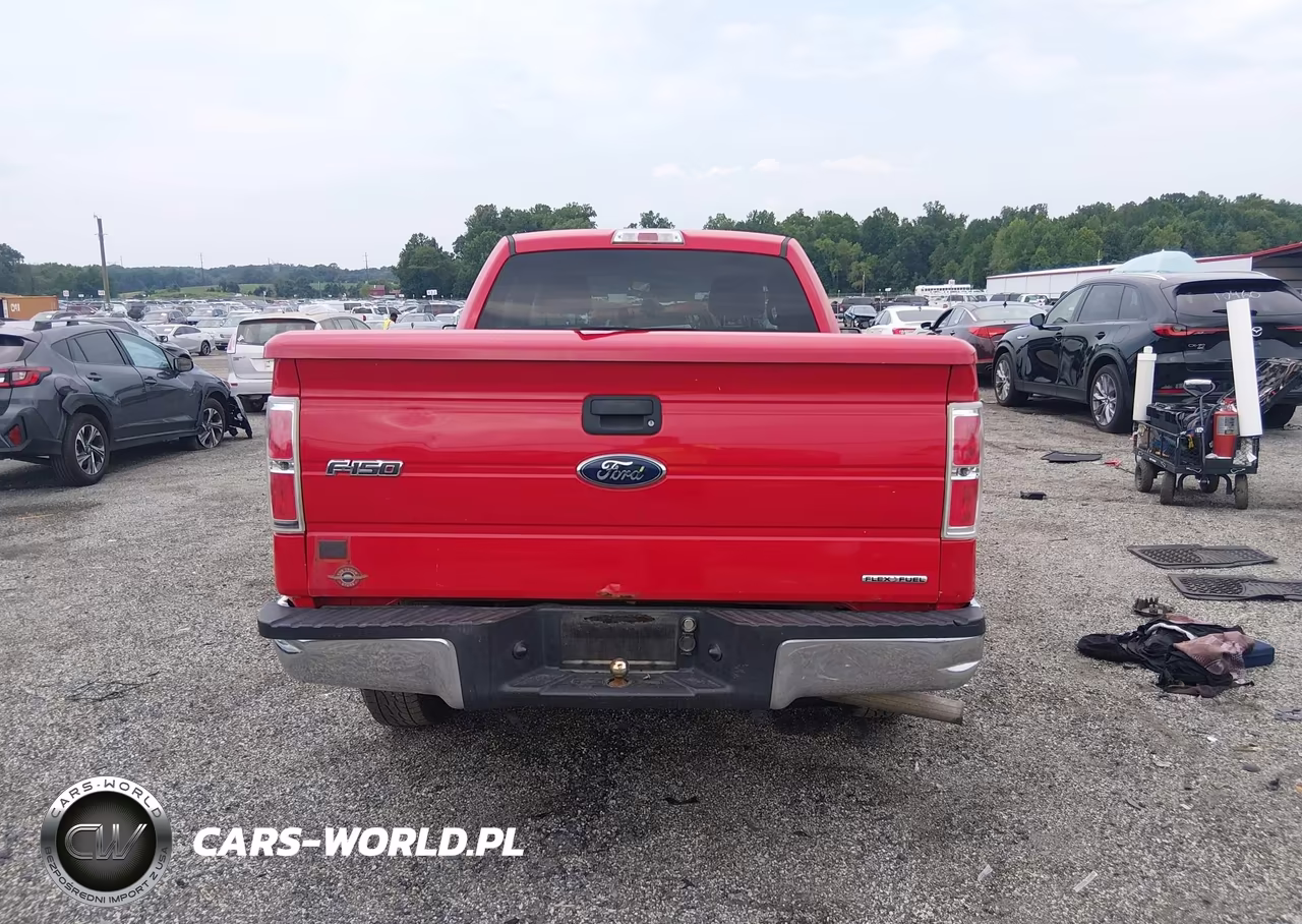 2014 Ford F-150 Xl VIN:1FTMF1CM9EKE98649 - 16