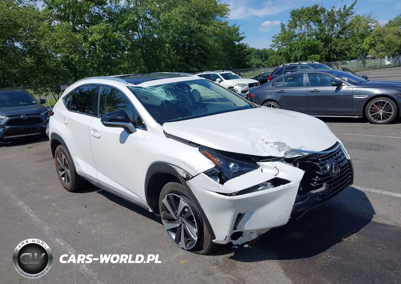 2020 Lexus Nx 300