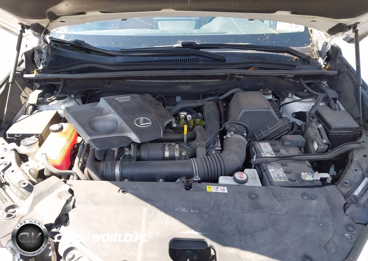 2020 Lexus Nx 300 VIN:JTJGARDZ5L5012013 - 10