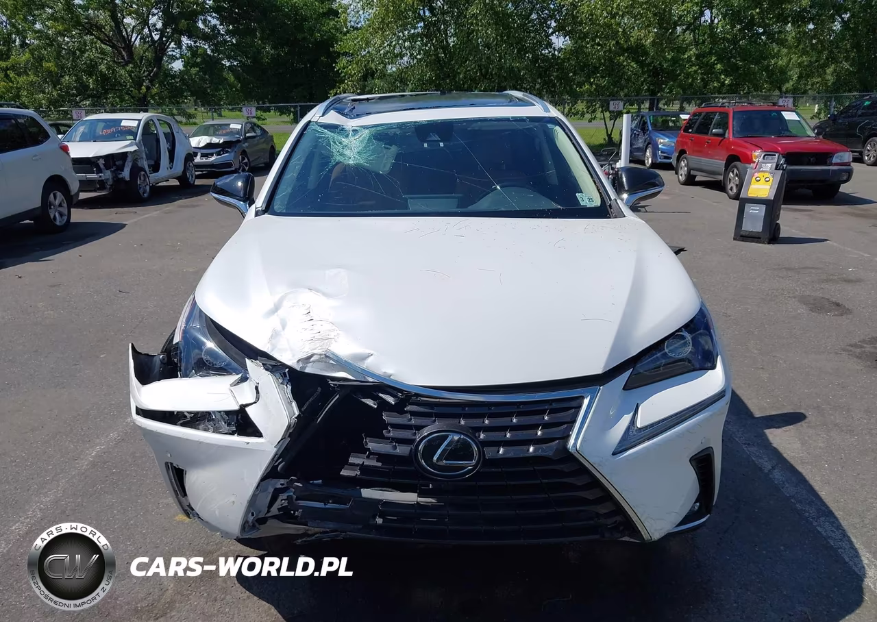 2020 Lexus Nx 300 VIN:JTJGARDZ5L5012013 - 12