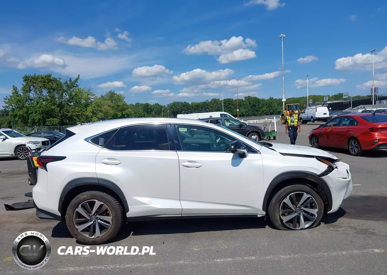 2020 Lexus Nx 300 VIN:JTJGARDZ5L5012013 - 13