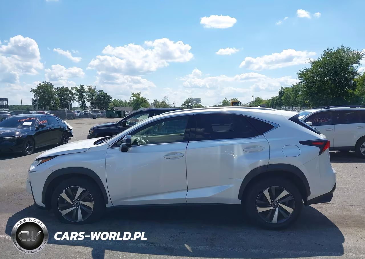 2020 Lexus Nx 300 VIN:JTJGARDZ5L5012013 - 14