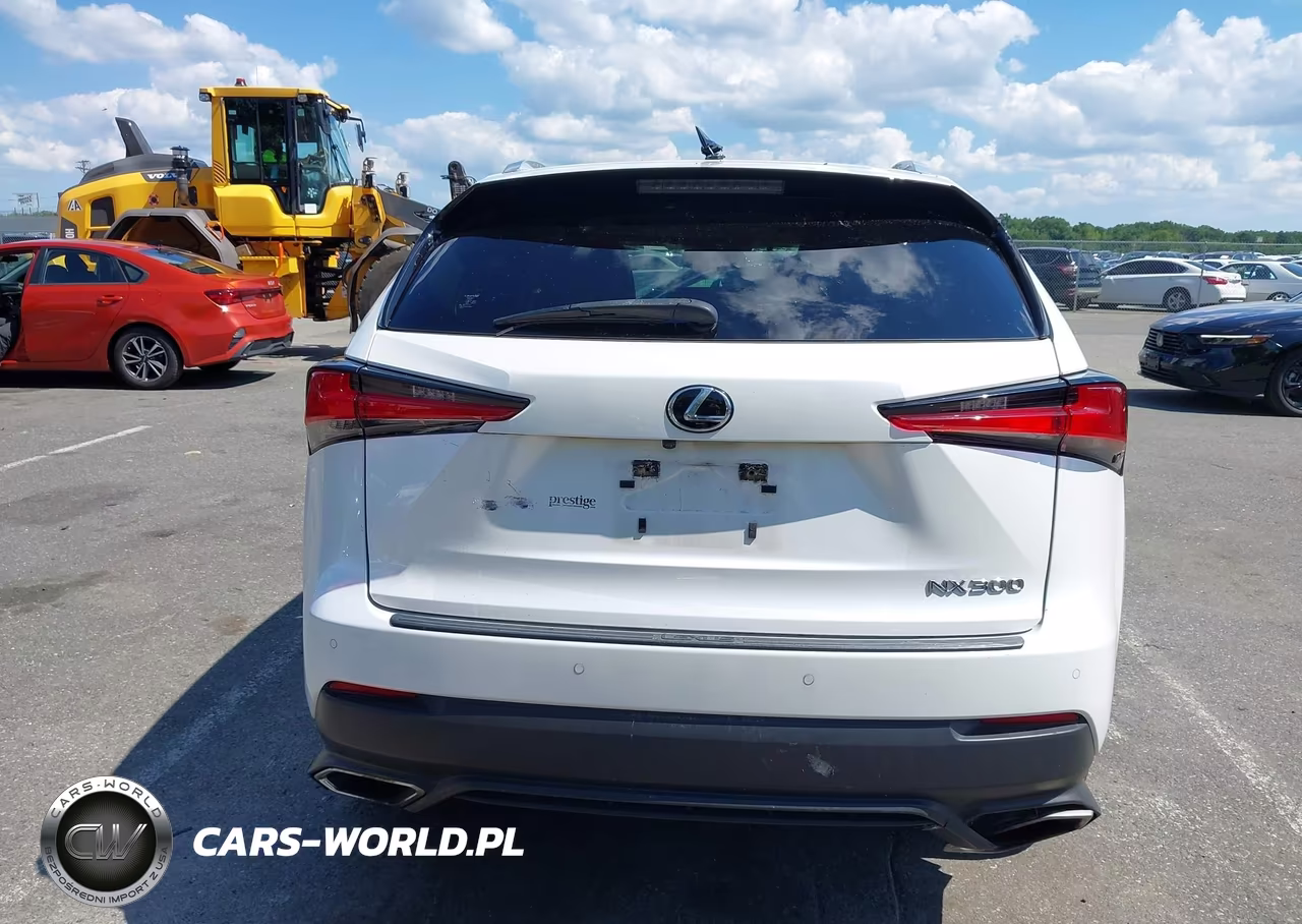2020 Lexus Nx 300 VIN:JTJGARDZ5L5012013 - 16