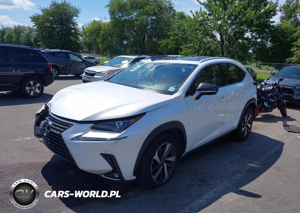 2020 Lexus Nx 300 VIN:JTJGARDZ5L5012013 - 2