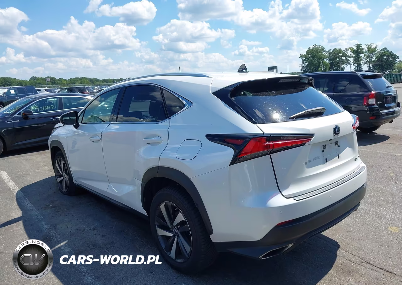2020 Lexus Nx 300 VIN:JTJGARDZ5L5012013 - 3