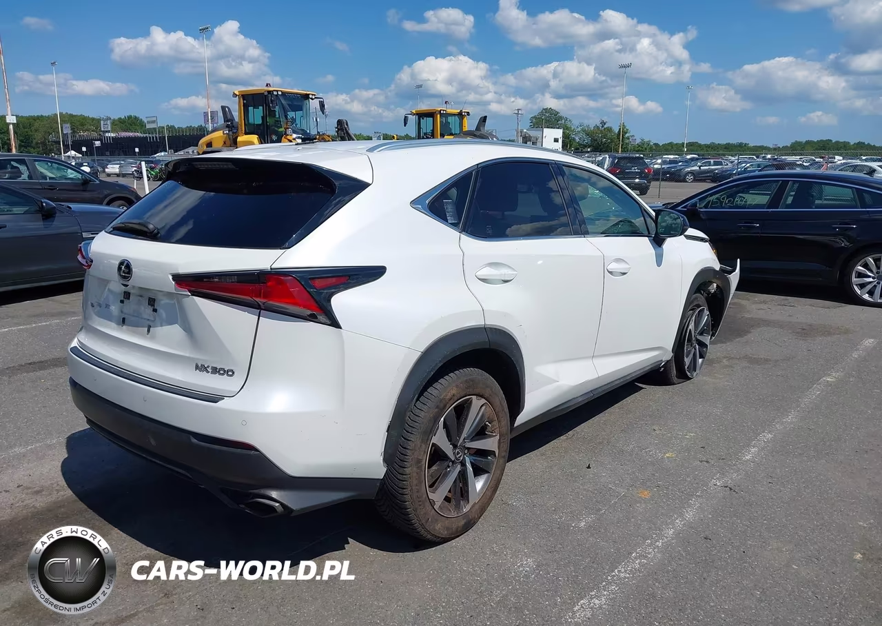 2020 Lexus Nx 300 VIN:JTJGARDZ5L5012013 - 4