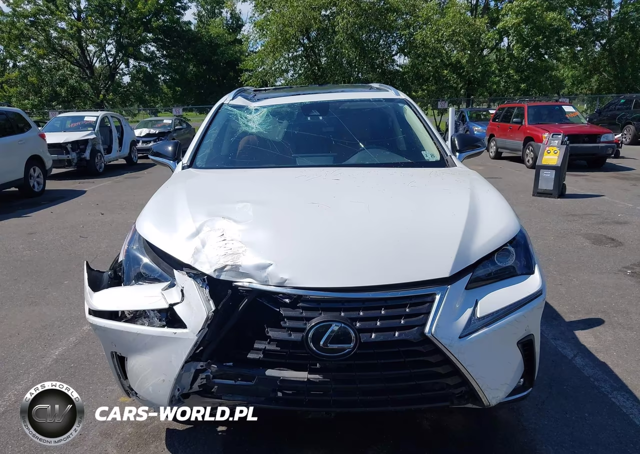 2020 Lexus Nx 300 VIN:JTJGARDZ5L5012013 - 6