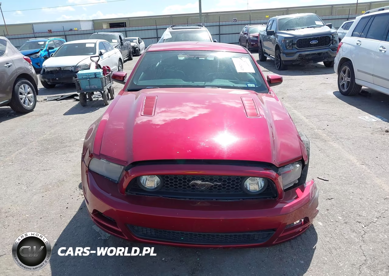 2014 Ford Mustang Gt Premium VIN:1ZVBP8CF1E5235890 - 12