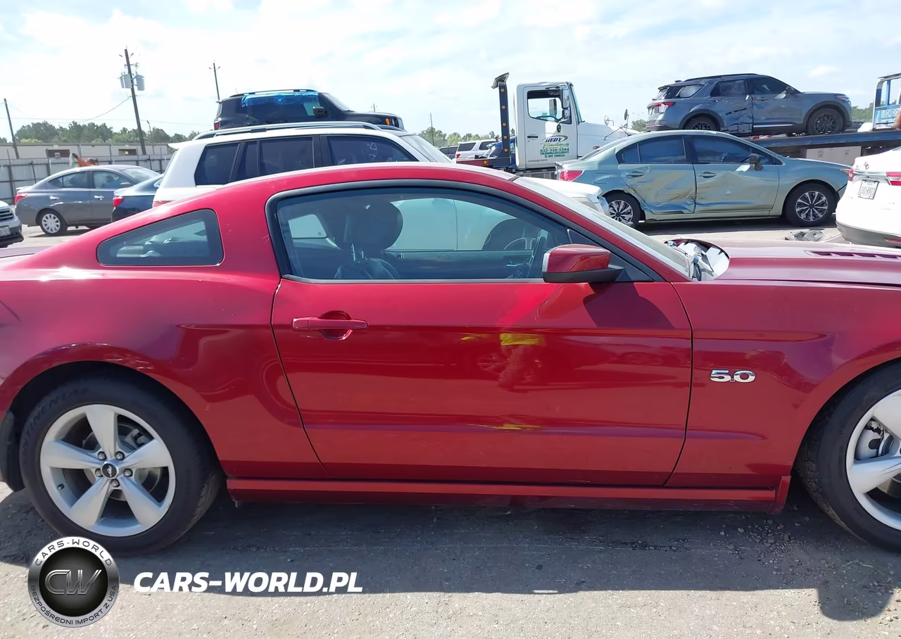2014 Ford Mustang Gt Premium VIN:1ZVBP8CF1E5235890 - 13