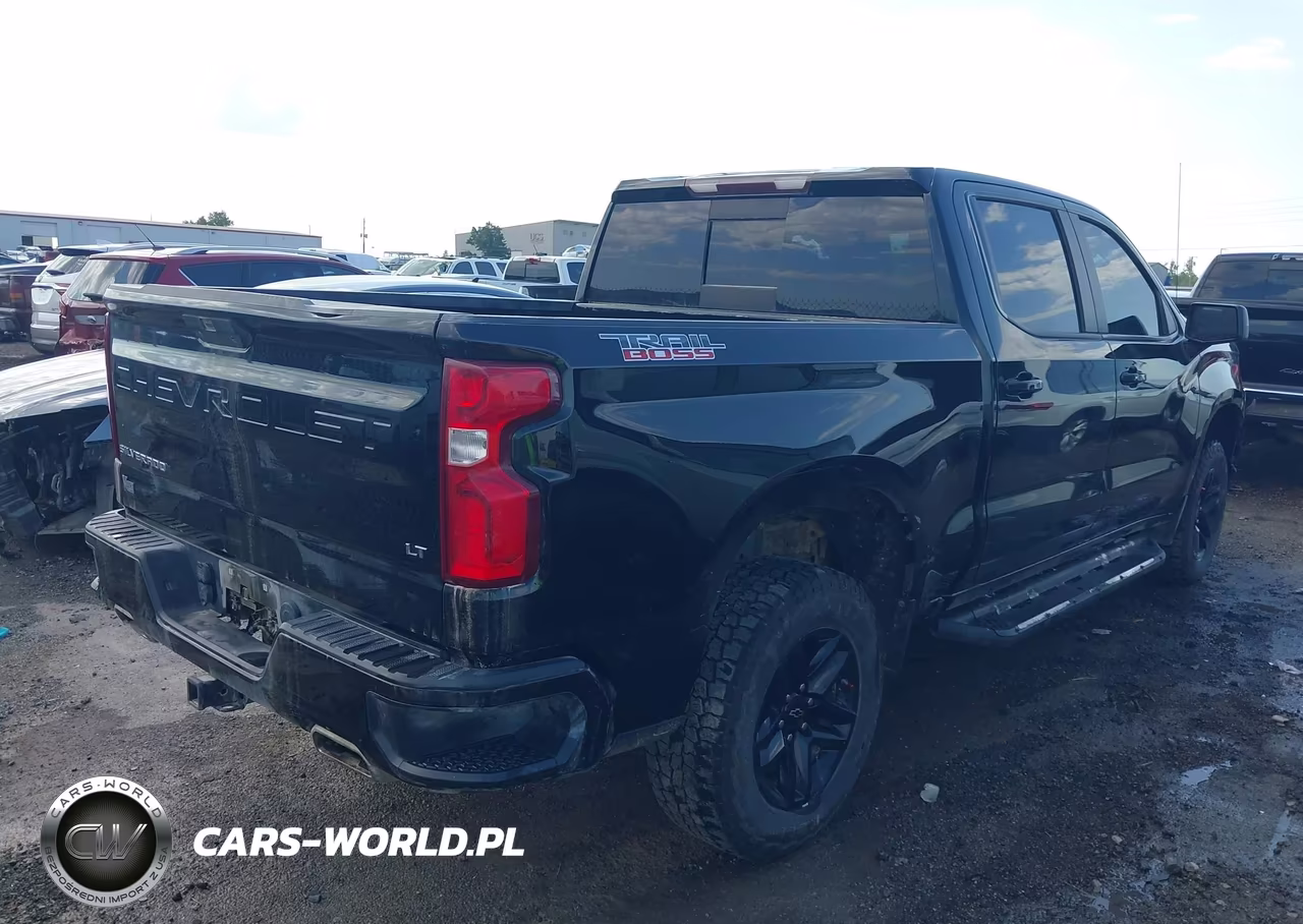 2020 Chevrolet Silverado 1500 4Wd Short Bed Lt Trail Boss VIN:3GCPYFED1LG196679 - 4