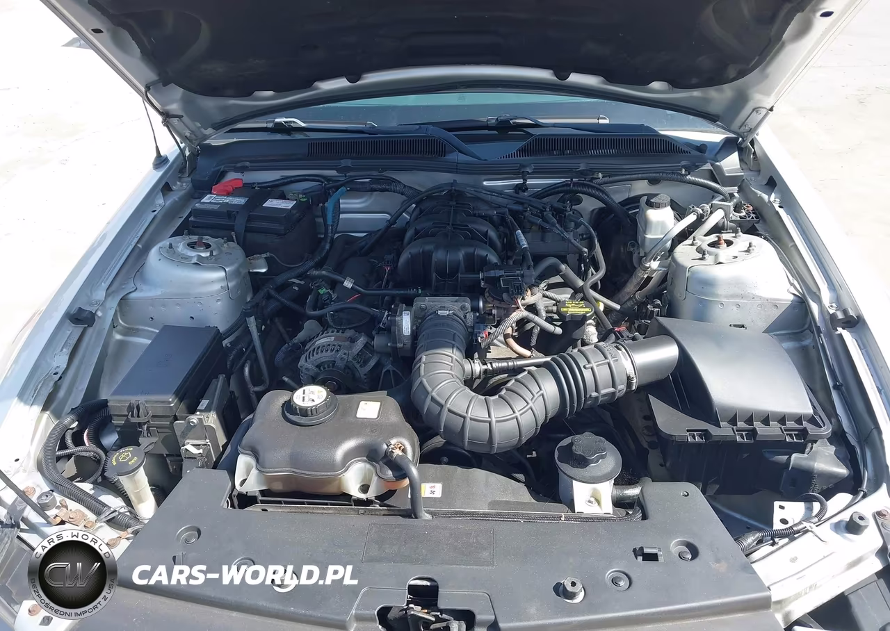 2009 Ford Mustang V6-V6 Premium VIN:1ZVHT80N695105921 - 10
