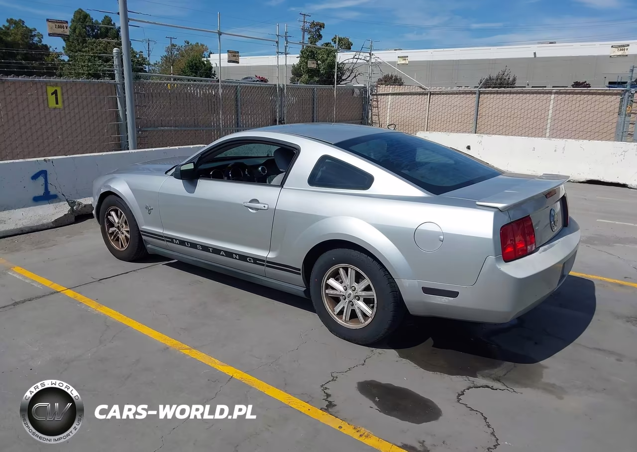 2009 Ford Mustang V6-V6 Premium VIN:1ZVHT80N695105921 - 3