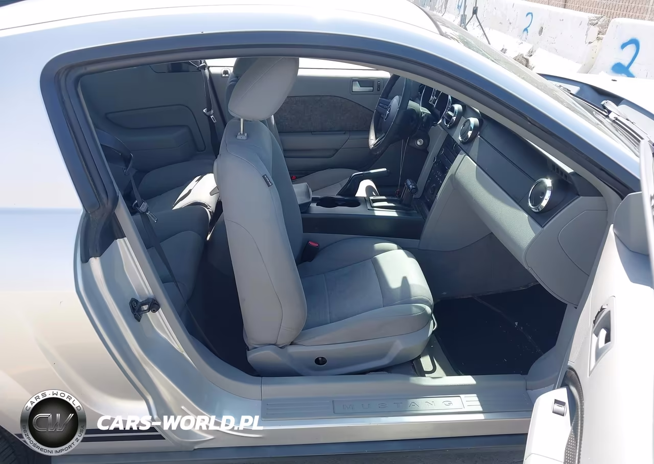2009 Ford Mustang V6-V6 Premium VIN:1ZVHT80N695105921 - 5