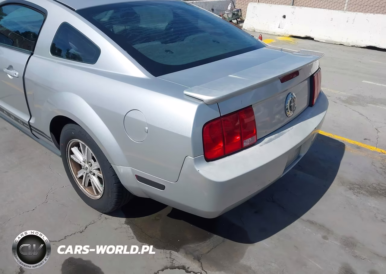 2009 Ford Mustang V6-V6 Premium VIN:1ZVHT80N695105921 - 6