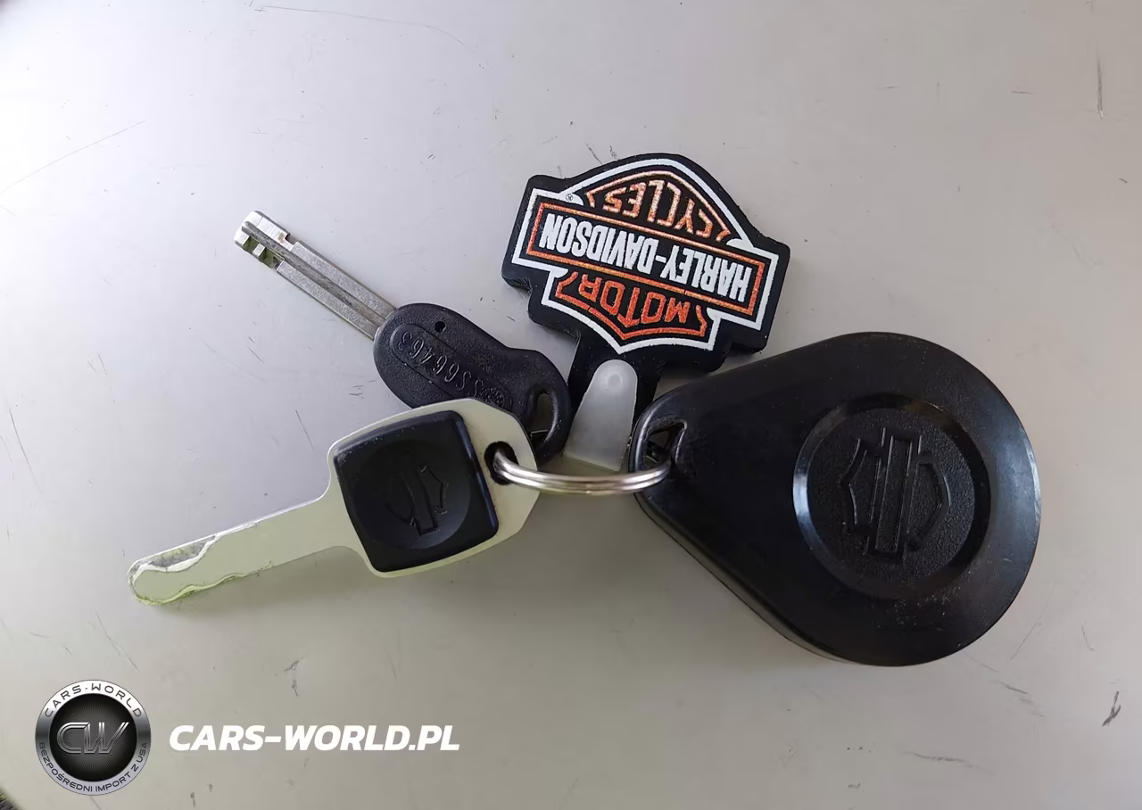 2021 Harley-Davidson Flhc VIN:1HD1YAJ13MB049311 - 11