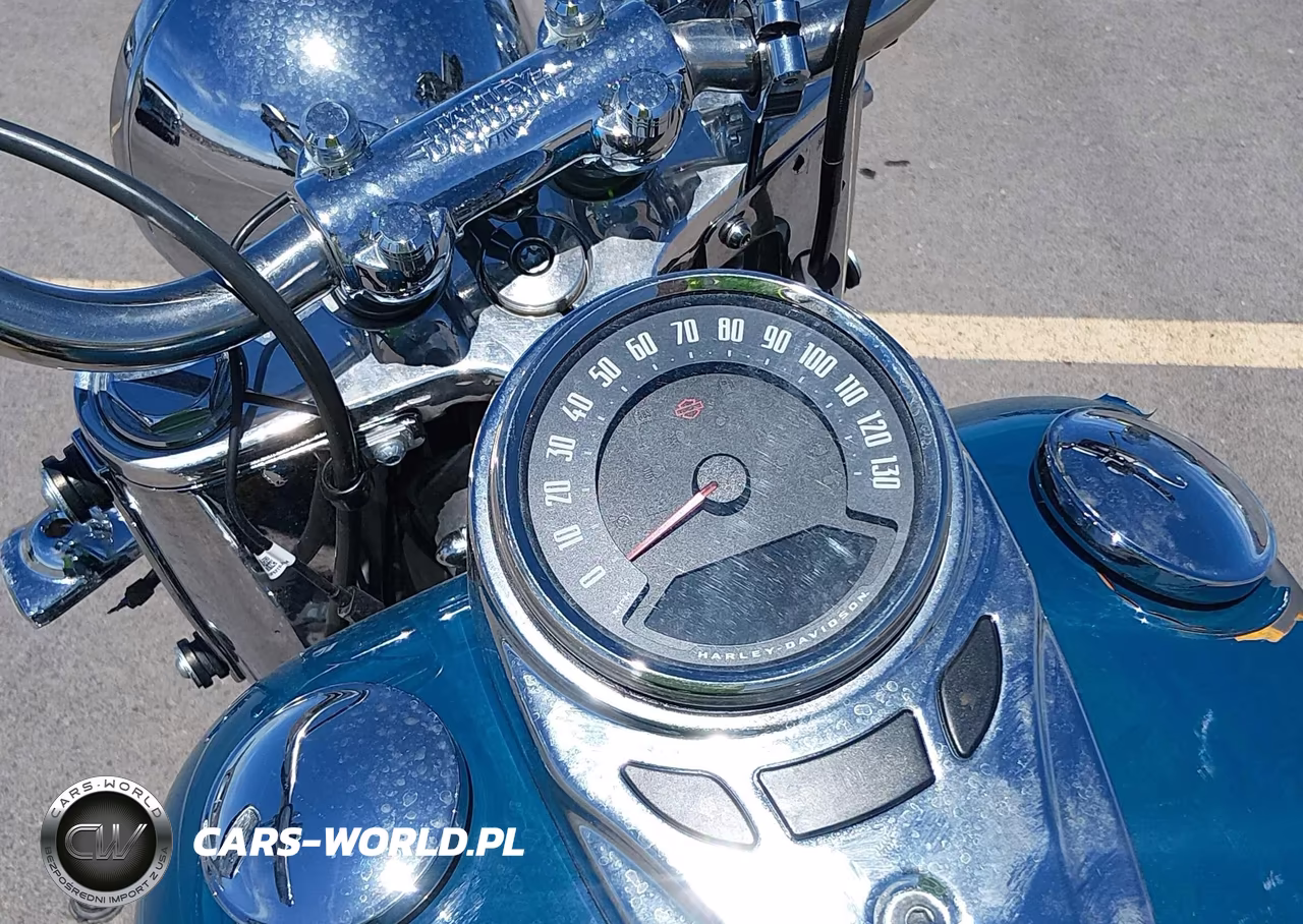 2021 Harley-Davidson Flhc VIN:1HD1YAJ13MB049311 - 7
