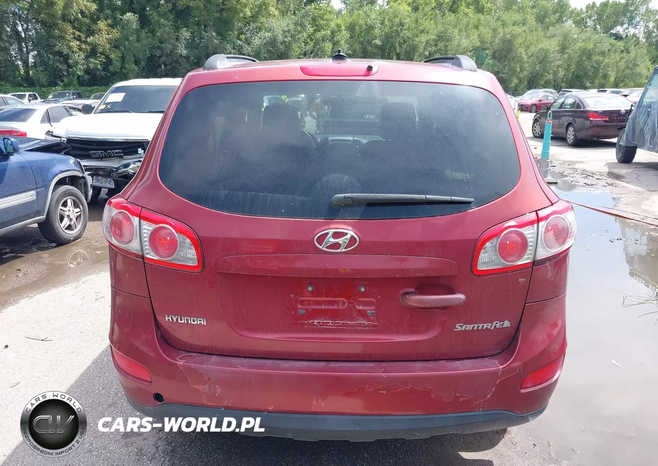 2010 Hyundai Santa Fe Gls VIN:5NMSG3ABXAH351182 - 16