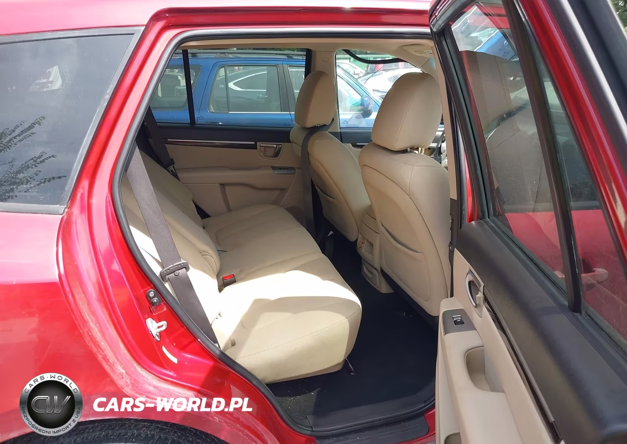2010 Hyundai Santa Fe Gls VIN:5NMSG3ABXAH351182 - 8