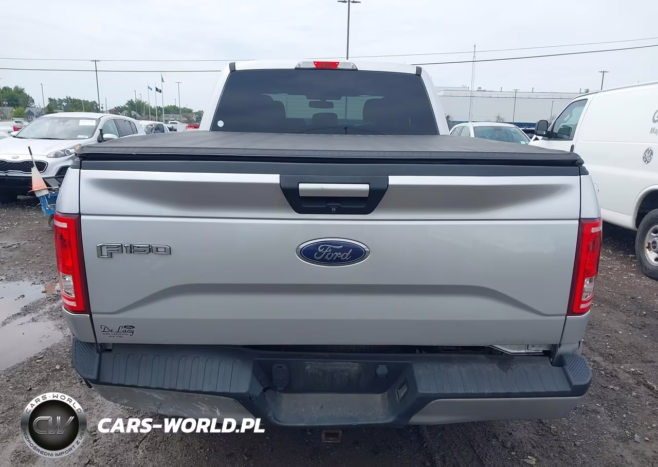2015 Ford F-150 Xlt VIN:1FTEX1EPXFFB80302 - 16