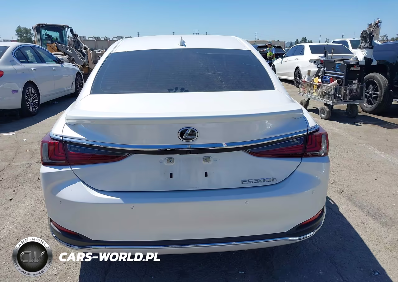2024 Lexus Es 300H VIN:58ADA1C15RU049374 - 17