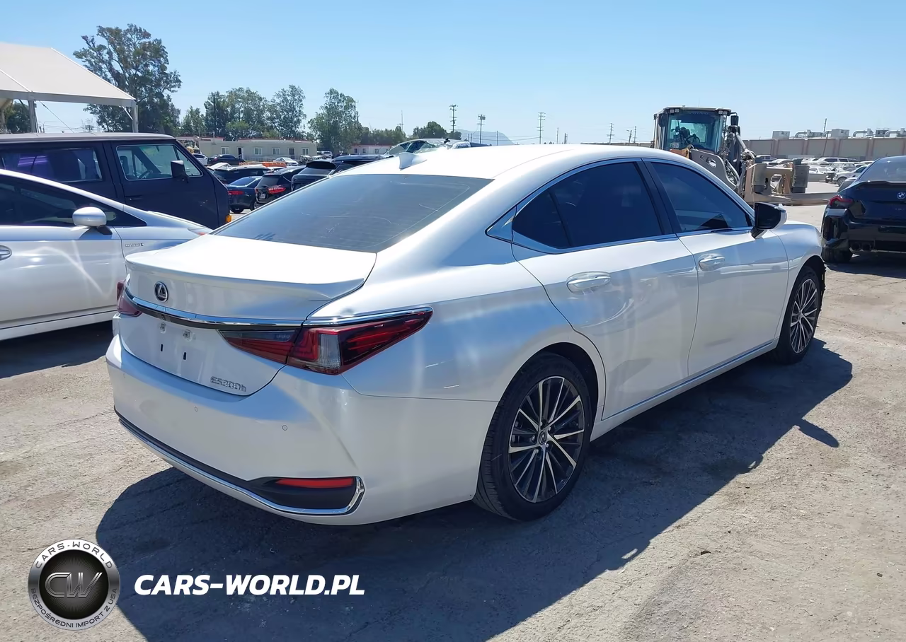 2024 Lexus Es 300H VIN:58ADA1C15RU049374 - 4