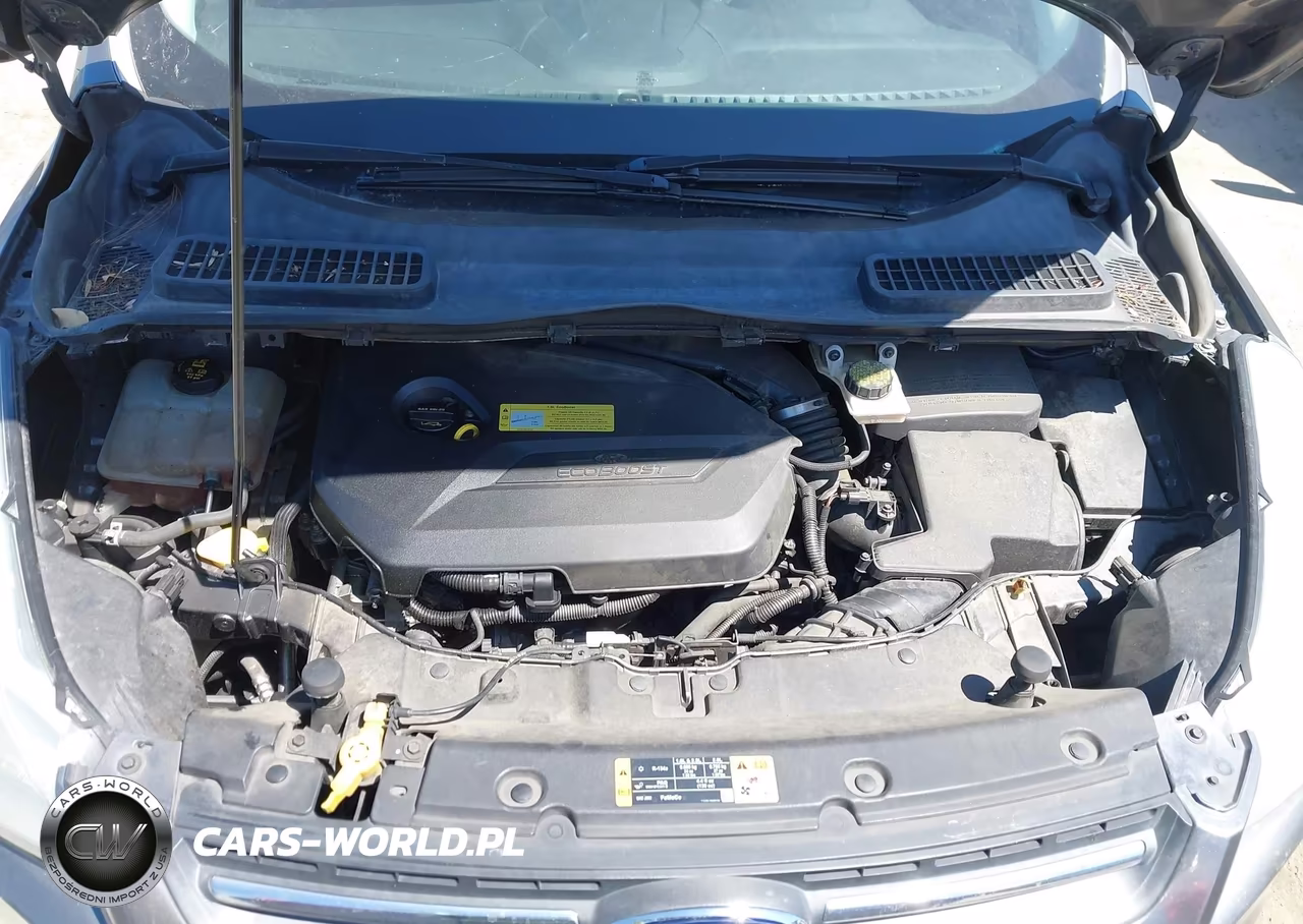 2013 Ford Escape Se VIN:1FMCU0GX4DUC55149 - 10