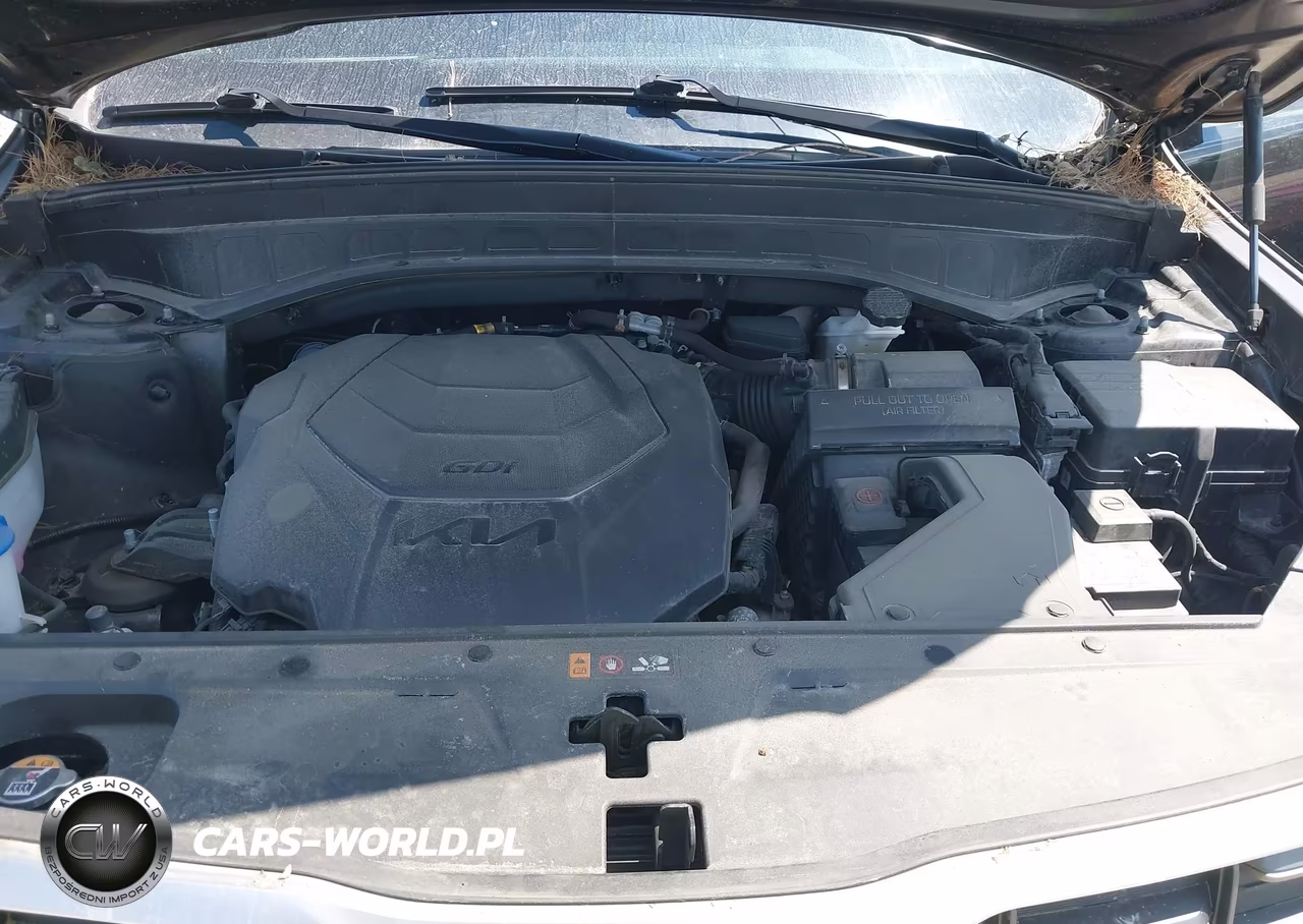 2023 Kia Telluride S VIN:5XYP6DGC6PG411914 - 10