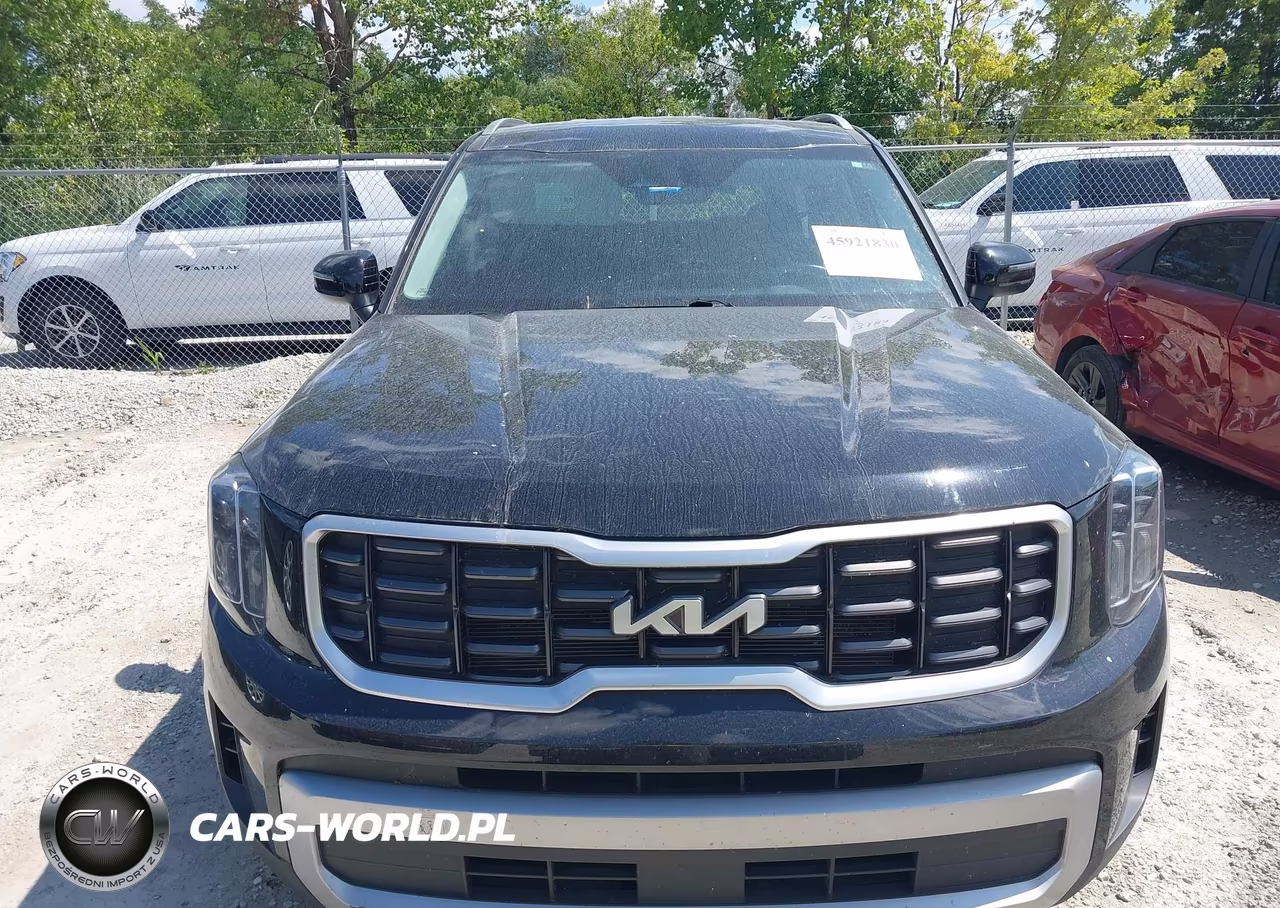 2023 Kia Telluride S VIN:5XYP6DGC6PG411914 - 12