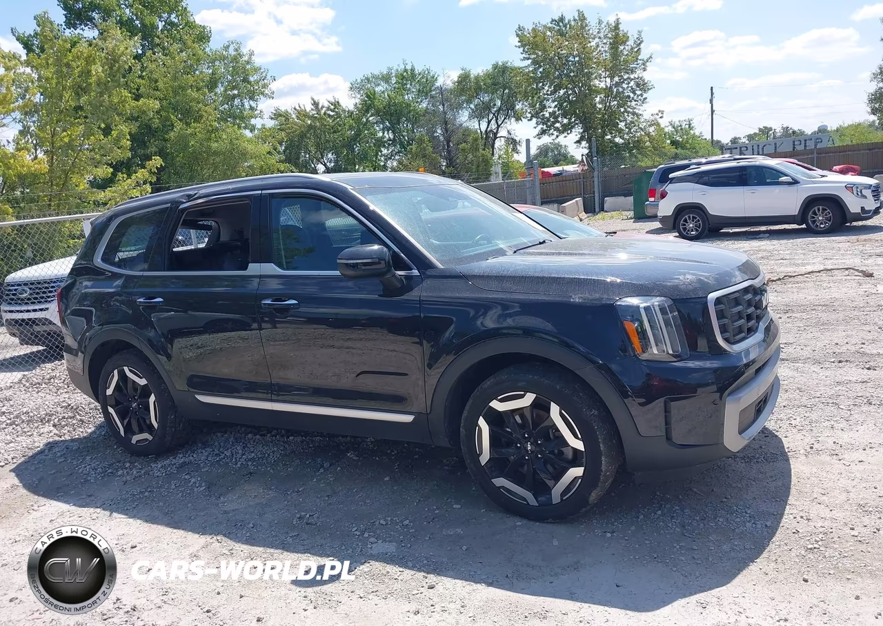 2023 Kia Telluride S VIN:5XYP6DGC6PG411914 - 13