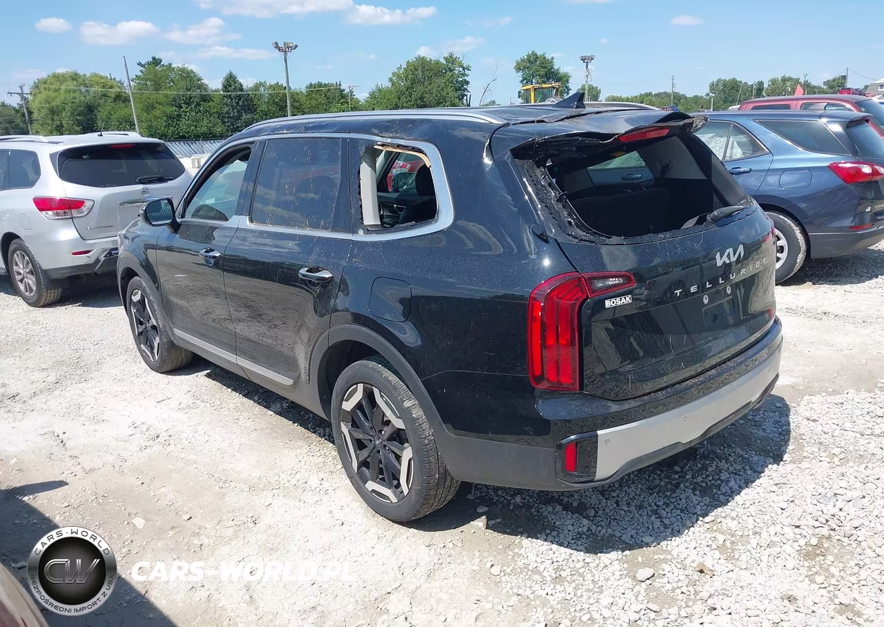 2023 Kia Telluride S VIN:5XYP6DGC6PG411914 - 3