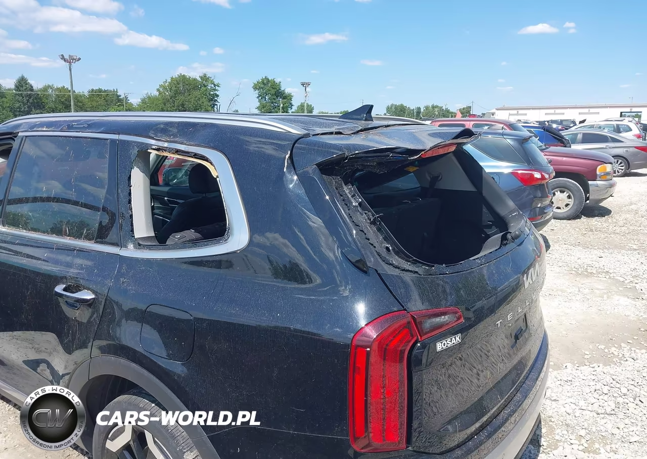 2023 Kia Telluride S VIN:5XYP6DGC6PG411914 - 6