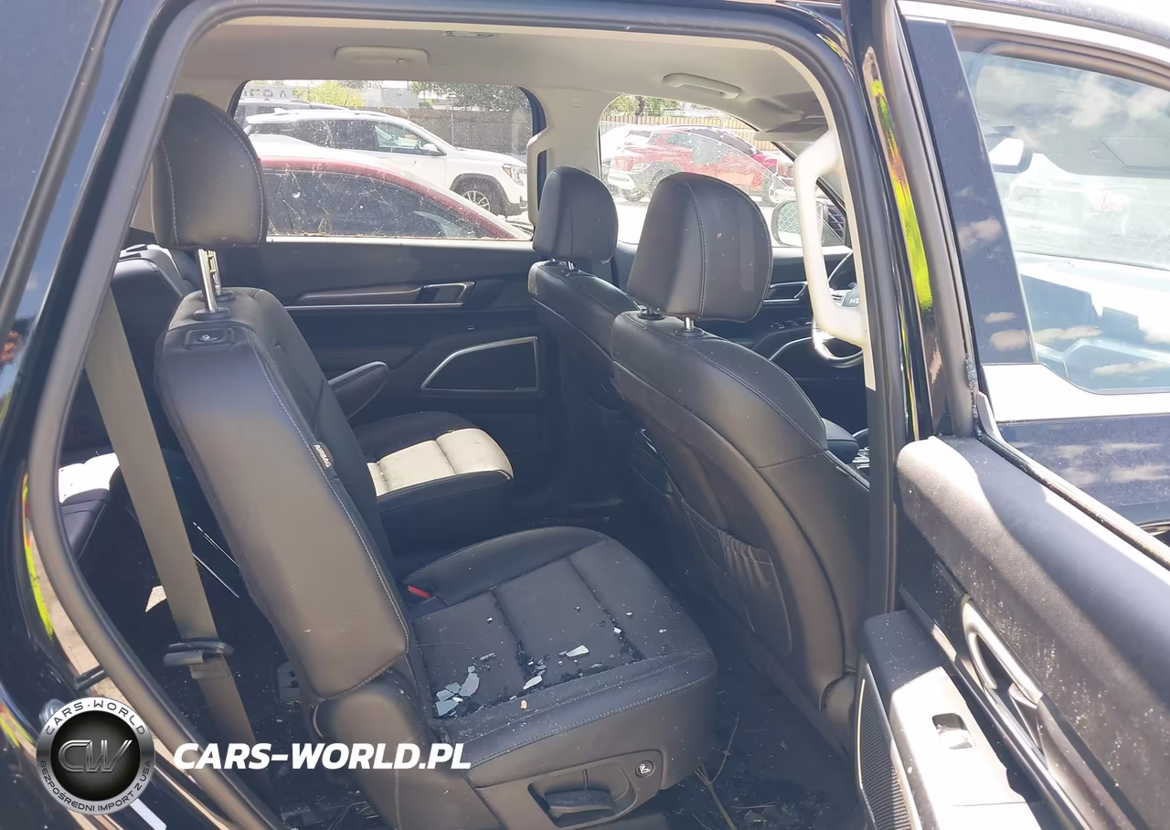 2023 Kia Telluride S VIN:5XYP6DGC6PG411914 - 8