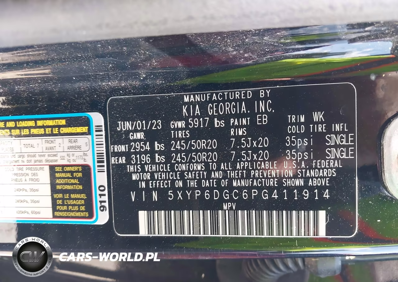 2023 Kia Telluride S VIN:5XYP6DGC6PG411914 - 9