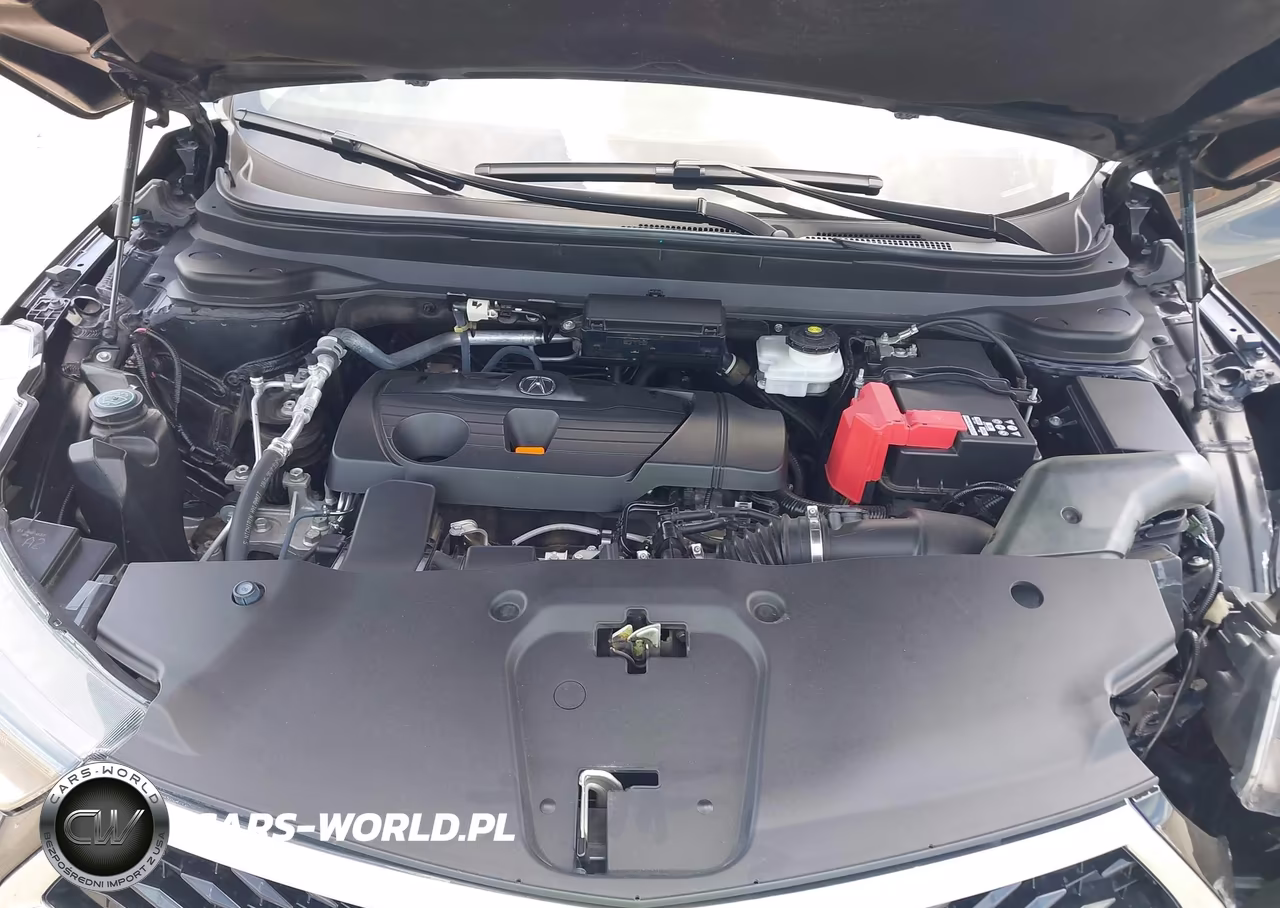 2024 Acura Rdx Advance Package VIN:5J8TC2H79RL017863 - 10
