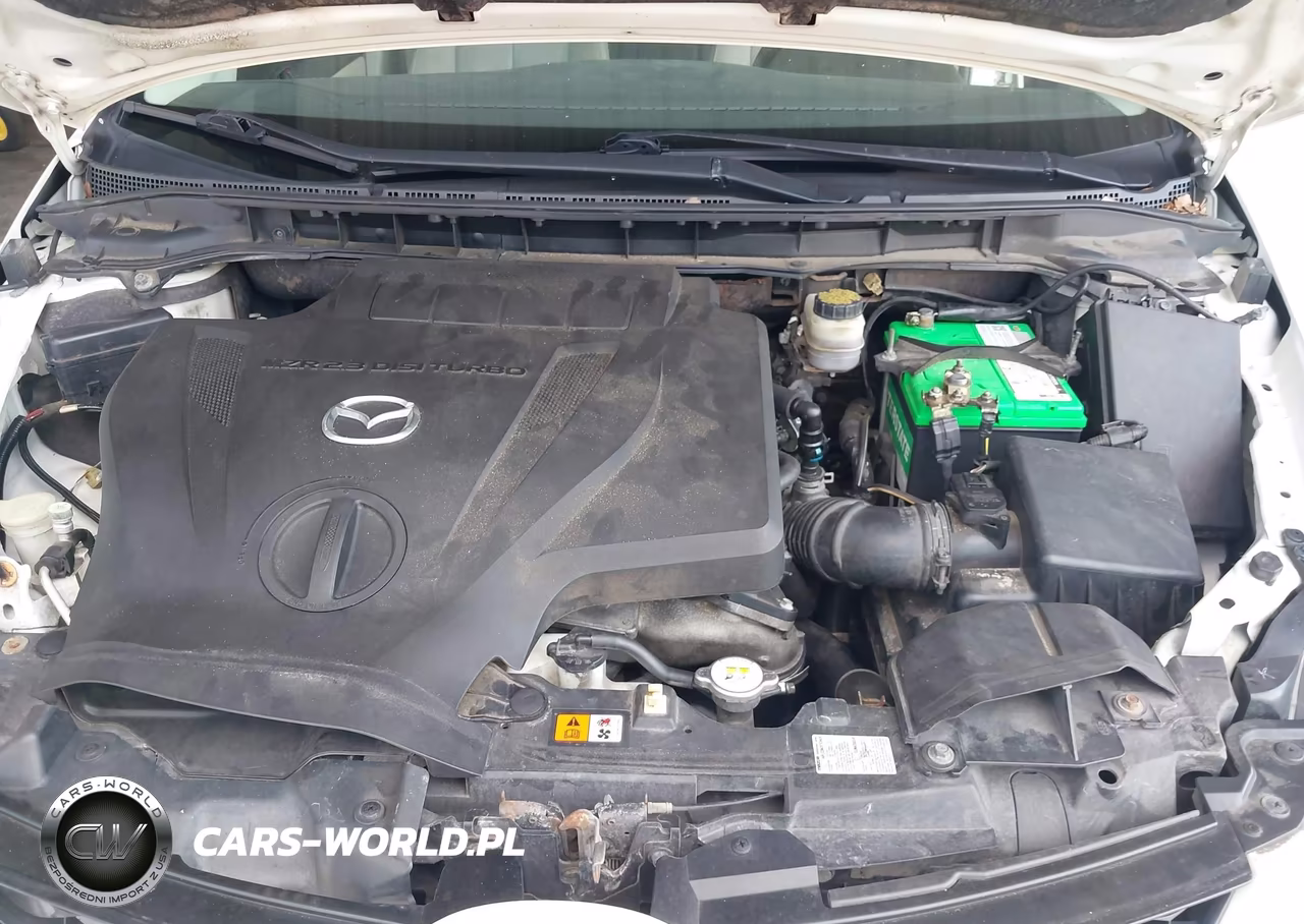 2010 Mazda Cx-7 S Touring VIN:JM3ER2W32A0350540 - 10