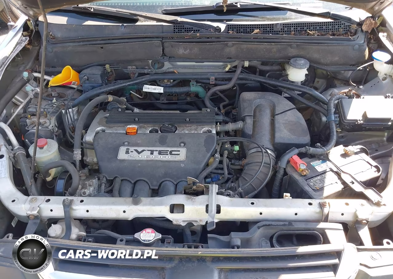 2004 Honda Cr-V Ex VIN:SHSRD78894U254059 - 10
