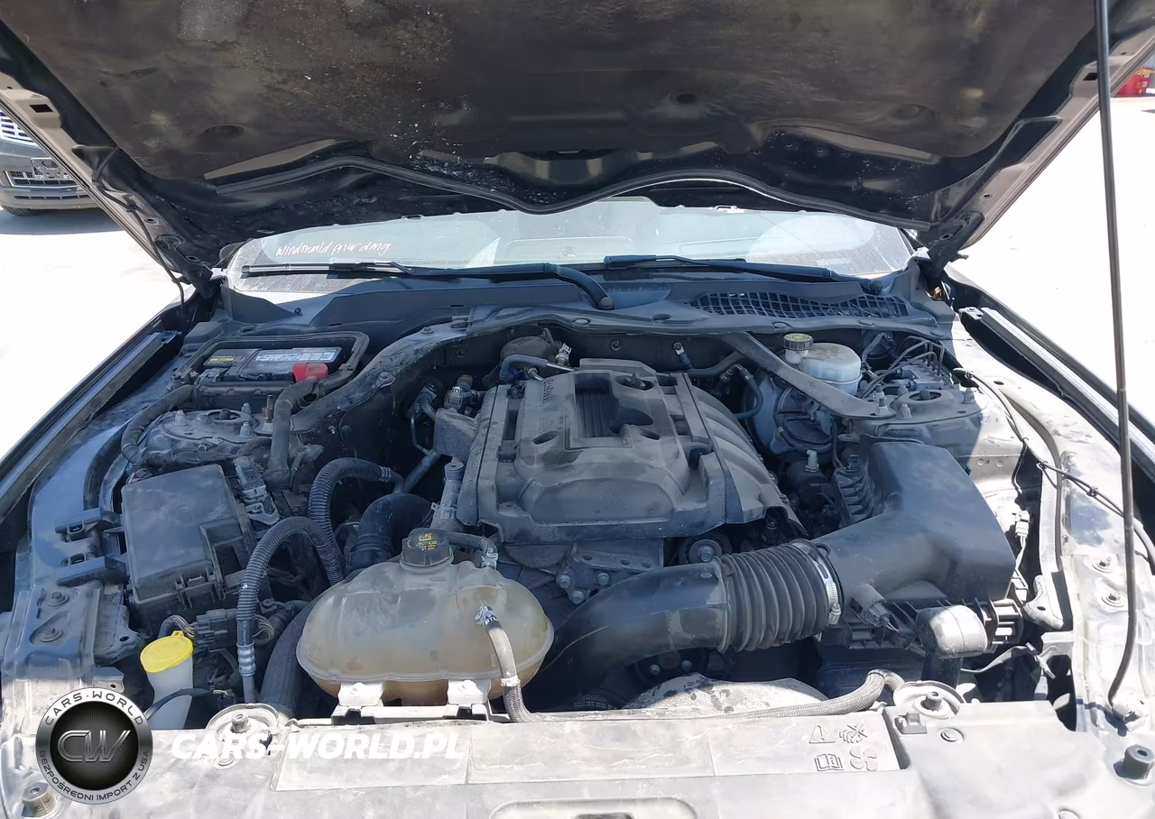 2019 Ford Mustang Ecoboost Premium VIN:1FATP8UH8K5109910 - 10