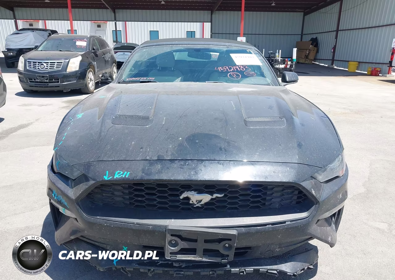 2019 Ford Mustang Ecoboost Premium VIN:1FATP8UH8K5109910 - 12