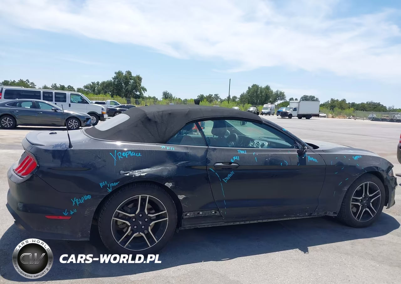 2019 Ford Mustang Ecoboost Premium VIN:1FATP8UH8K5109910 - 13