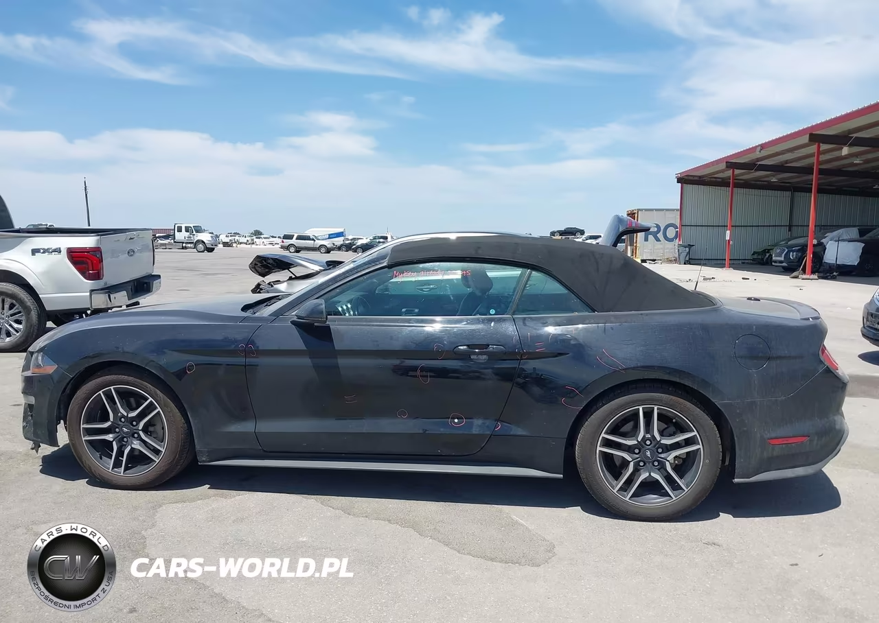 2019 Ford Mustang Ecoboost Premium VIN:1FATP8UH8K5109910 - 14
