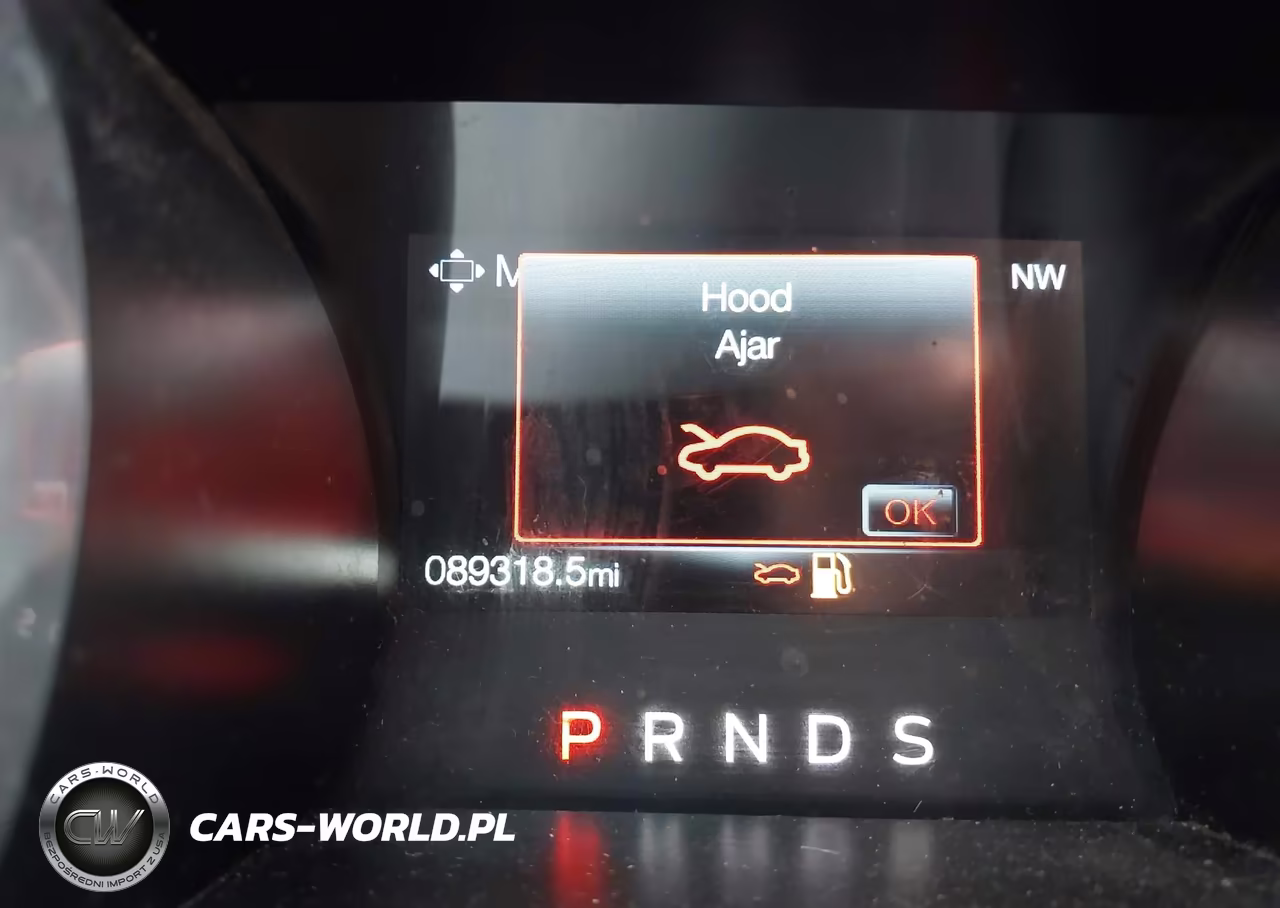 2019 Ford Mustang Ecoboost Premium VIN:1FATP8UH8K5109910 - 15