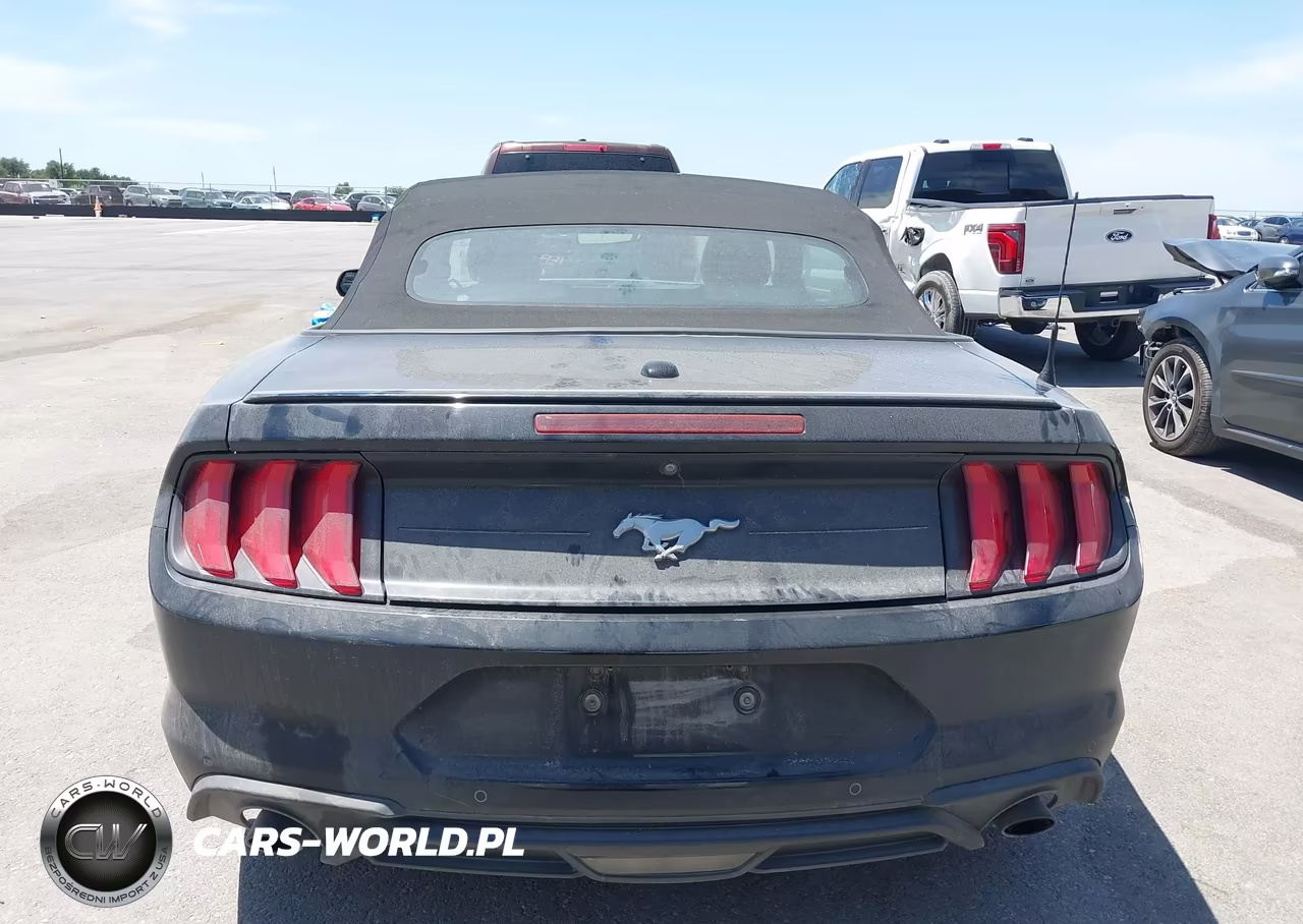 2019 Ford Mustang Ecoboost Premium VIN:1FATP8UH8K5109910 - 16