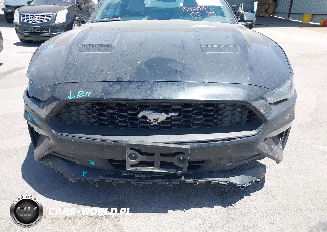 2019 Ford Mustang Ecoboost Premium VIN:1FATP8UH8K5109910 - 18