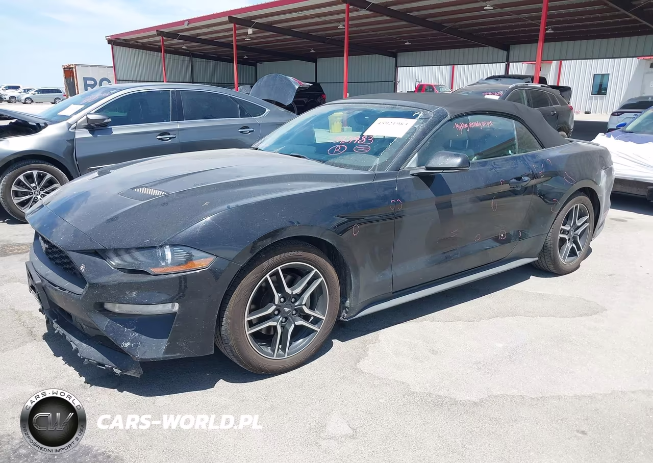 2019 Ford Mustang Ecoboost Premium VIN:1FATP8UH8K5109910 - 2