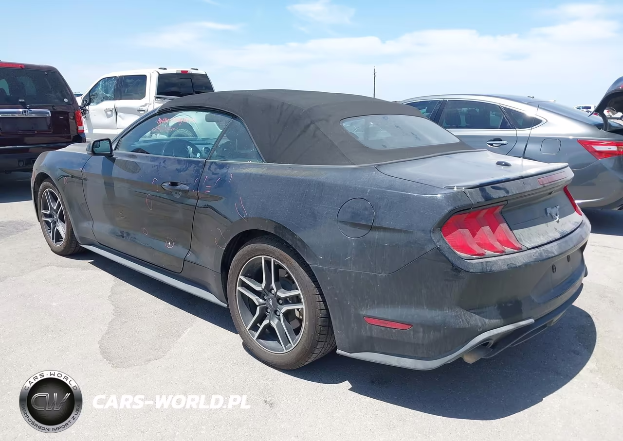 2019 Ford Mustang Ecoboost Premium VIN:1FATP8UH8K5109910 - 3