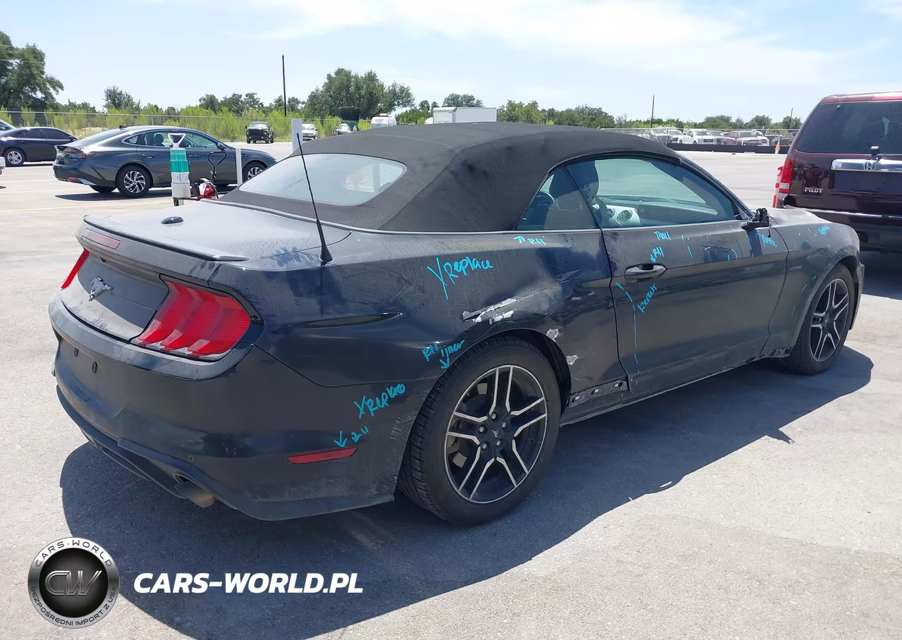 2019 Ford Mustang Ecoboost Premium VIN:1FATP8UH8K5109910 - 4