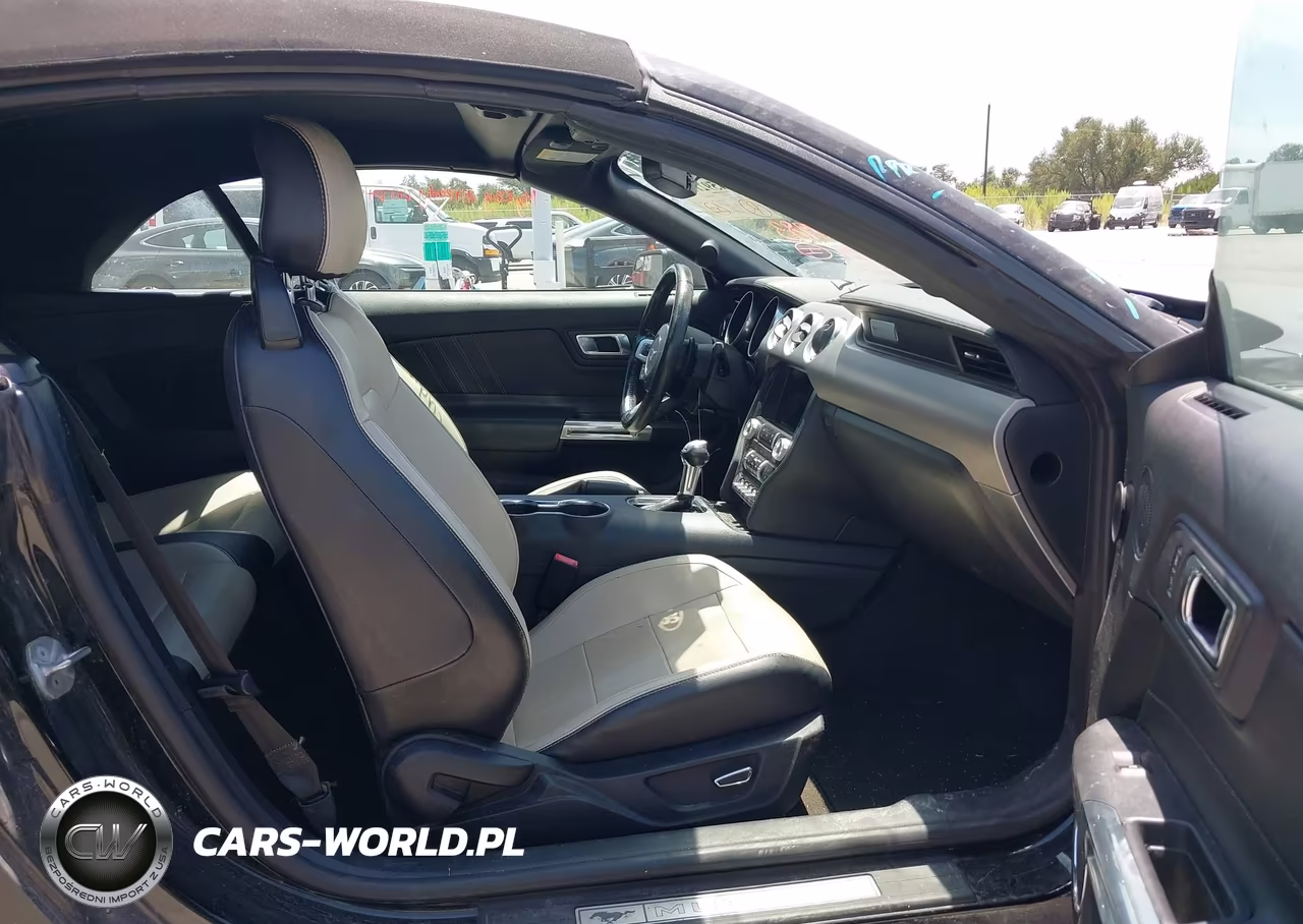 2019 Ford Mustang Ecoboost Premium VIN:1FATP8UH8K5109910 - 5